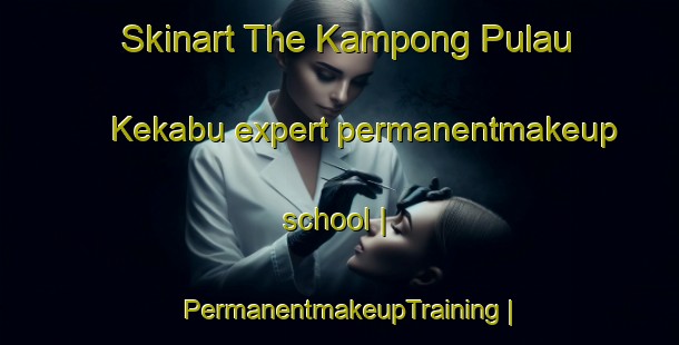 Skinart The Kampong Pulau Kekabu expert permanentmakeup school | PermanentmakeupTraining | PermanentmakeupClasses | SkinartTraining-Malaysia